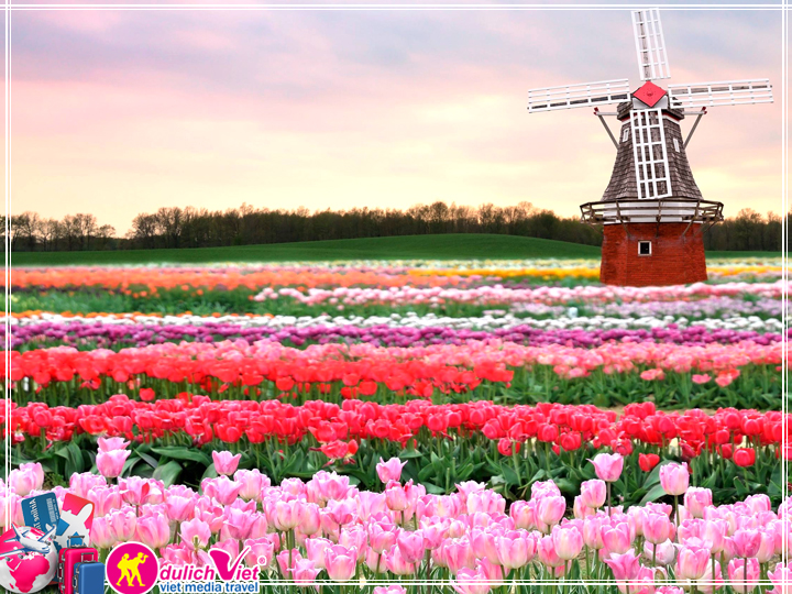 Du lịch Châu Âu 9 ngày Pháp Bỉ Hà Lan Đức lễ hội hoa Tulip 2017